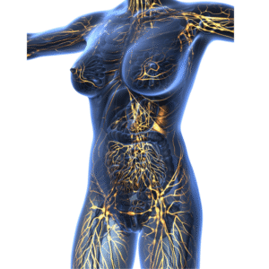 Hormonal Balance Toolkit